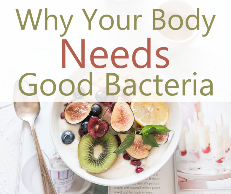 Why Your Body Needs Good Bacteria