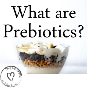 What are Prebiotics?